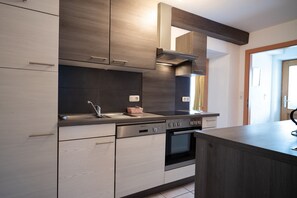 Fridge, microwave, oven, stovetop - Lake View Lodges - Terrace, Terrace & BBQ (Zell am See)
