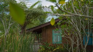 Una casa de madera con porche, rodeada de abundante vegetación y un sendero de madera.