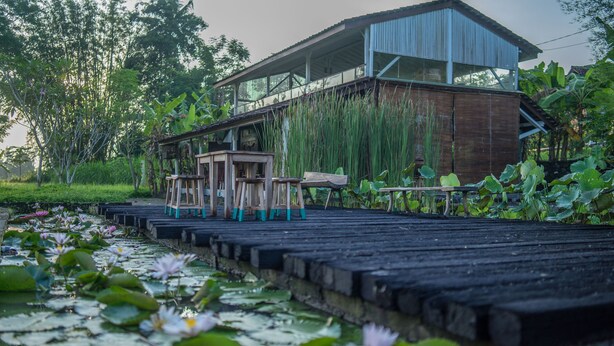 Un muelle de madera con una mesa y sillas, rodeado de nenúfares y un edificio con techo metálico.