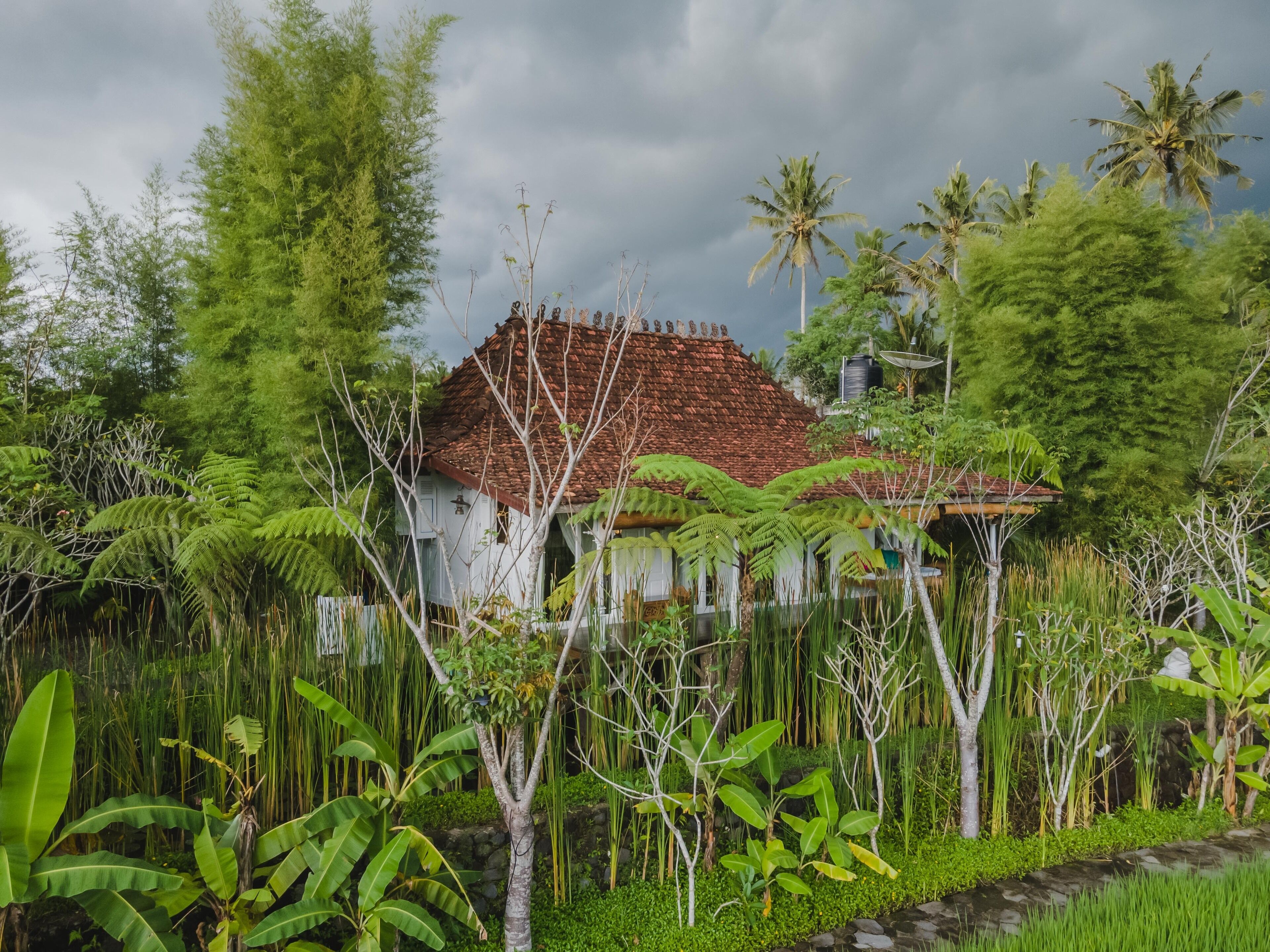 A traditional house with a tiled roof, surrounded by lush greenery and palm trees.