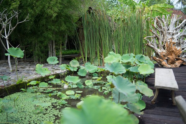 Exterior - Rumah Jembarati (Cangkringan)
