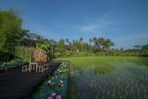 Outdoor dining - Rumah Jembarati (Cangkringan)
