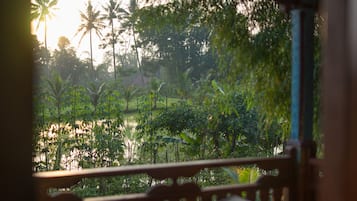 Vista desde la habitación