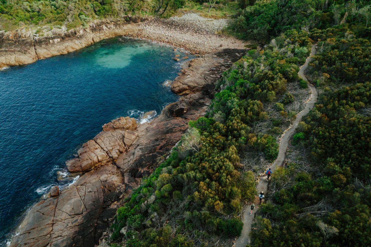 A coastal landscape with a rocky shoreline, a clear blue sea, and a narrow path winding through dense greenery.