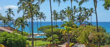 A tropical resort with a well-maintained lawn, palm trees, and a view of the ocean.