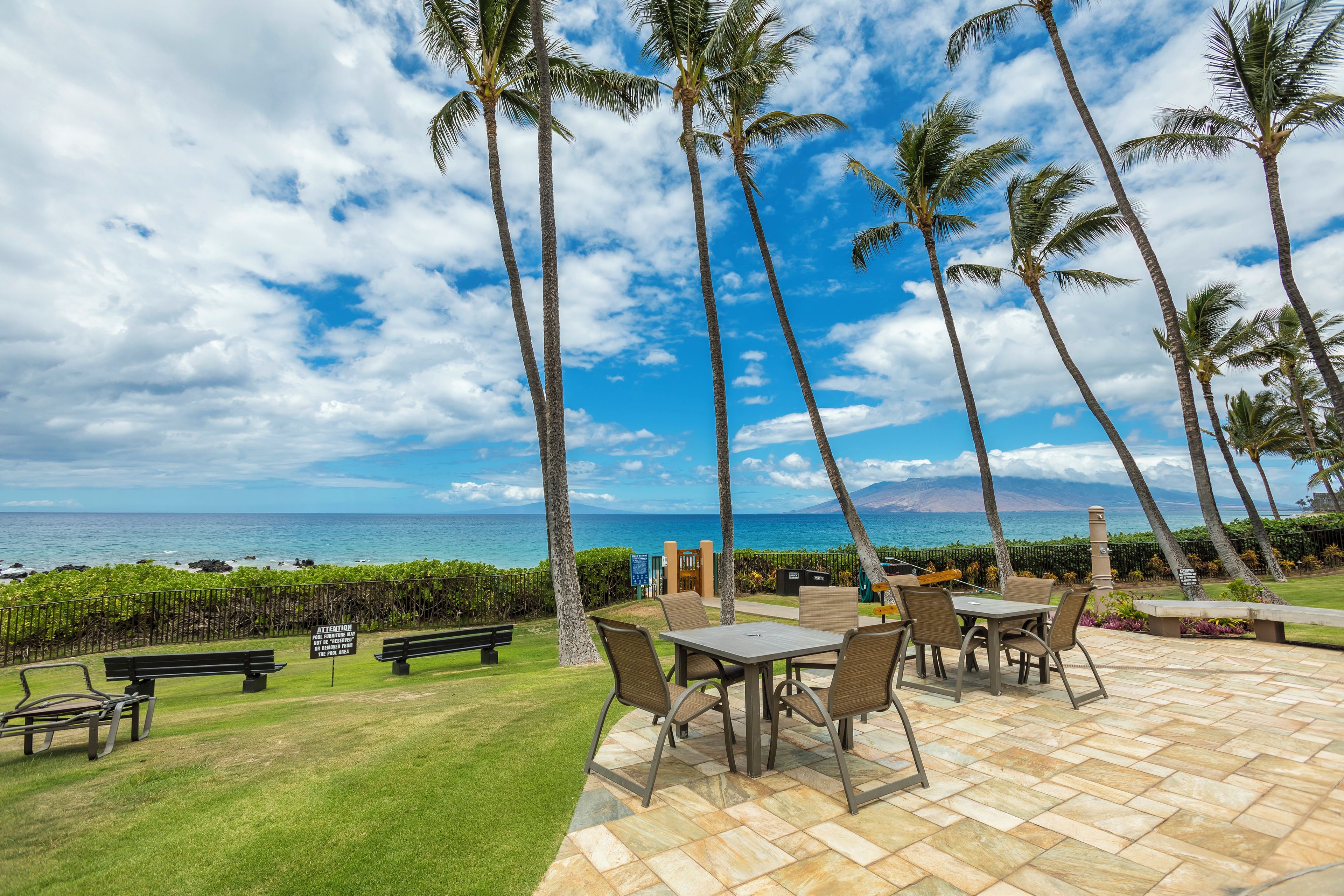 Eine Terrassengruppe mit Tisch und Stühlen, umgeben von Palmen und Blick auf das Meer.