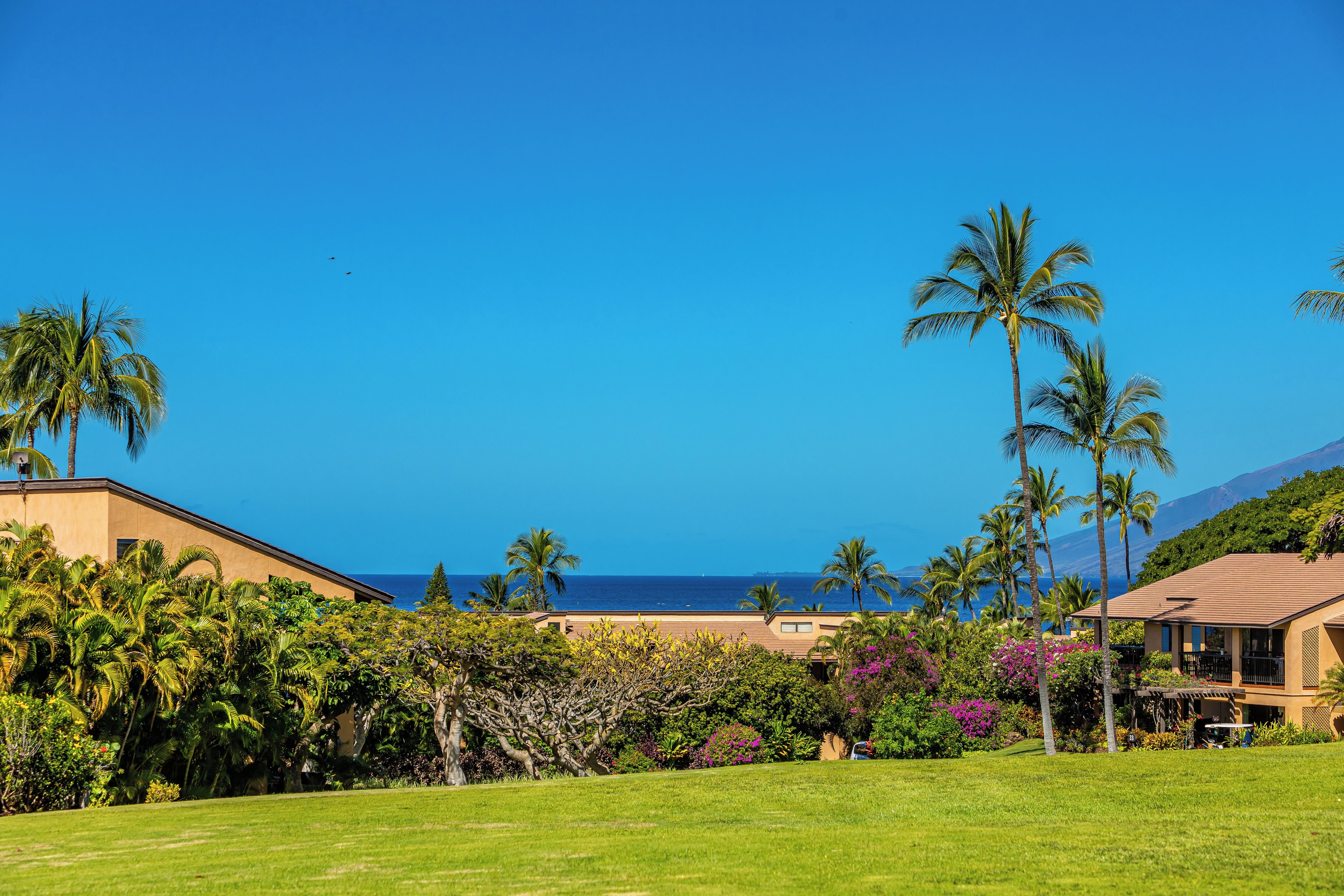 Ein tropisches Resort mit Blick auf das klare Meer, Palmen und einem gepflegten Rasen.