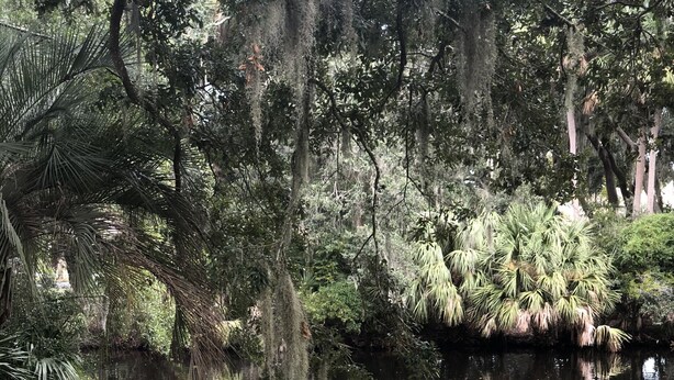 A wooden dock extending into a calm body of water, surrounded by lush greenery and trees. - Quaint Home With Dock on Lagoon - Walk to Beach (Hilton Head Island)