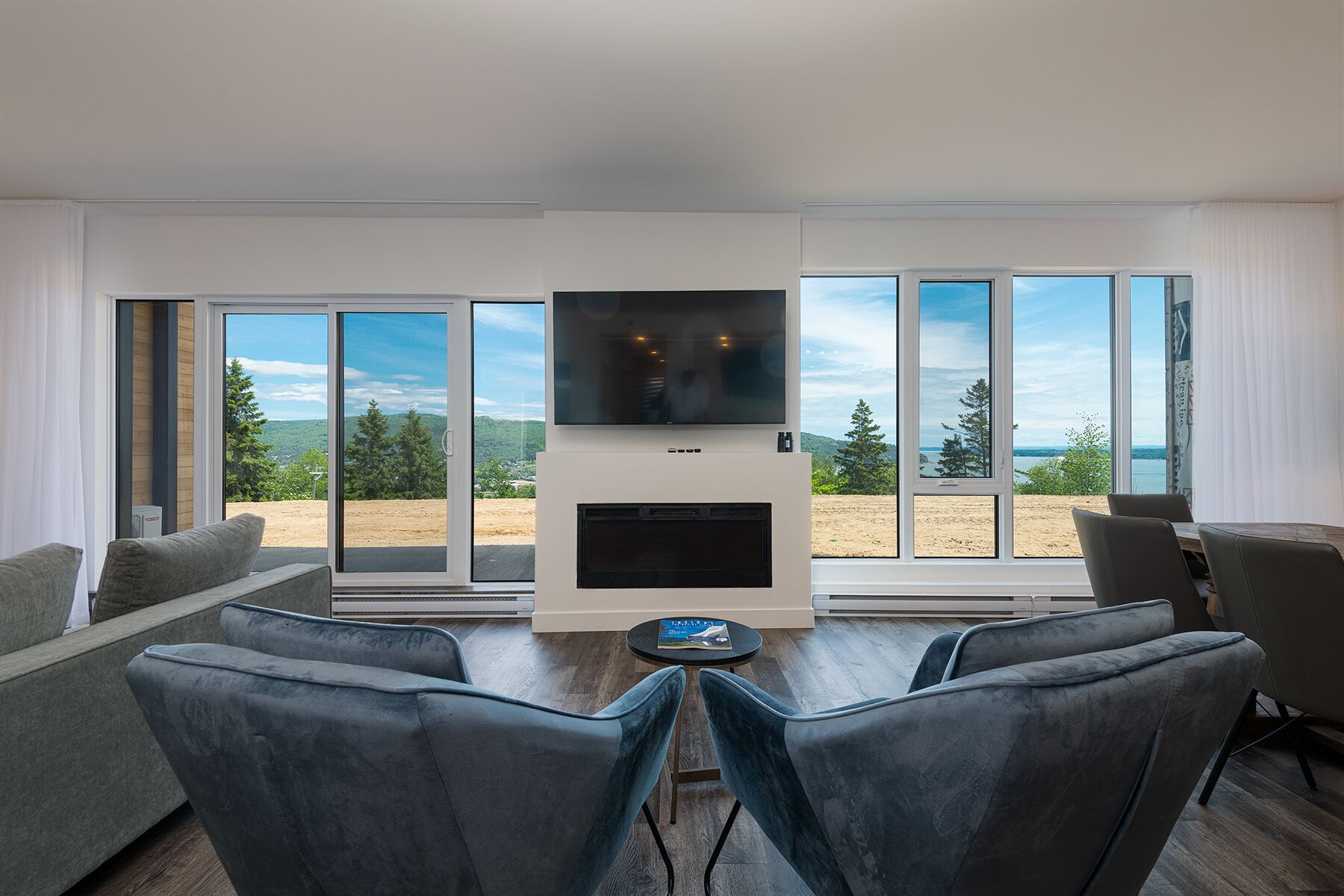 Télévision, cheminée, Netflix, lecteur de DVD