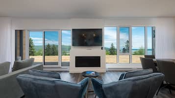 Télévision, cheminée, Netflix, lecteur de DVD