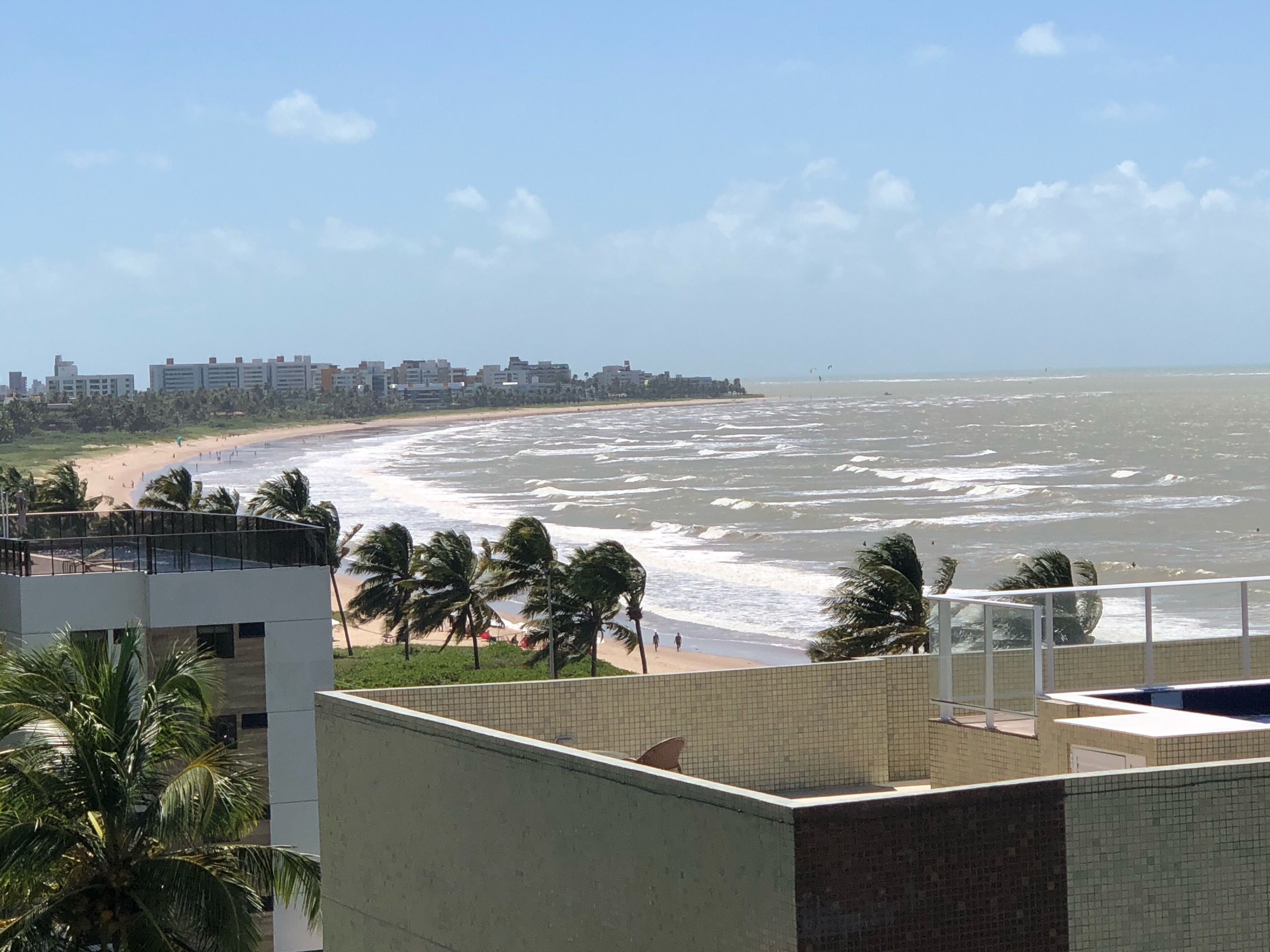 Vista costeira com praia, palmeiras e um horizonte urbano ao fundo.