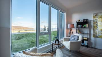 TV, fireplace, Netflix, streaming services