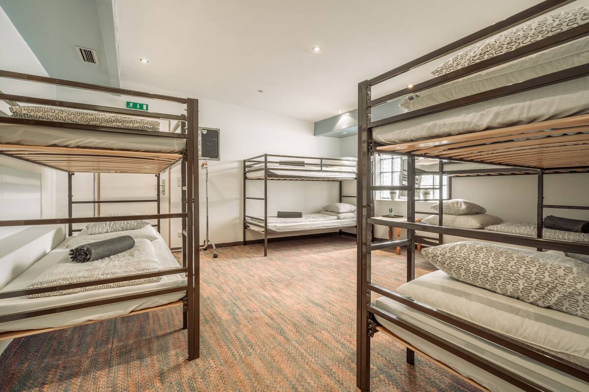 A dormitory room with bunk beds, a carpeted floor, and a window with natural light.