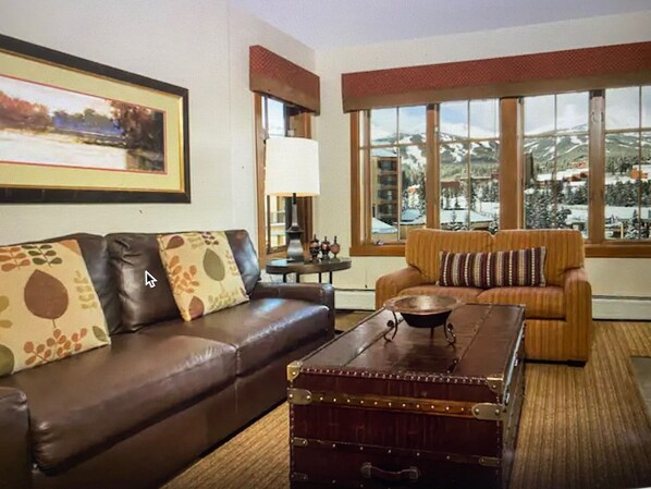 TV, fireplace, DVD player