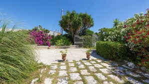 Un sendero pavimentado con plantas en macetas y una reja de metal.