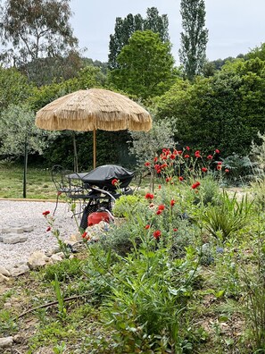 Terrein van de accommodatie