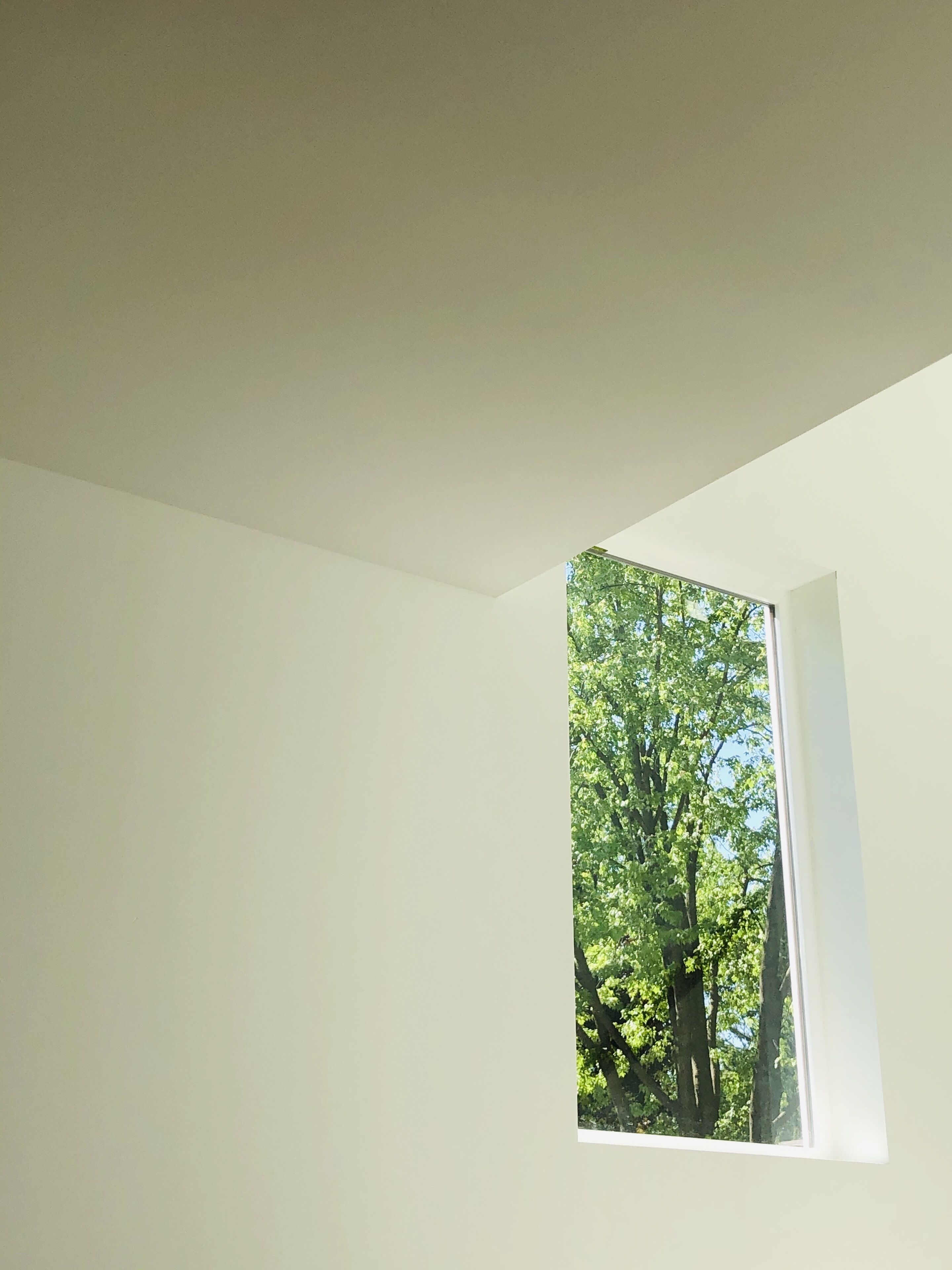 Newly built, light soaked designer Ann Arbor home.