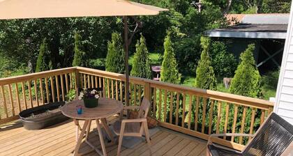 Newly built, light soaked designer Ann Arbor home.