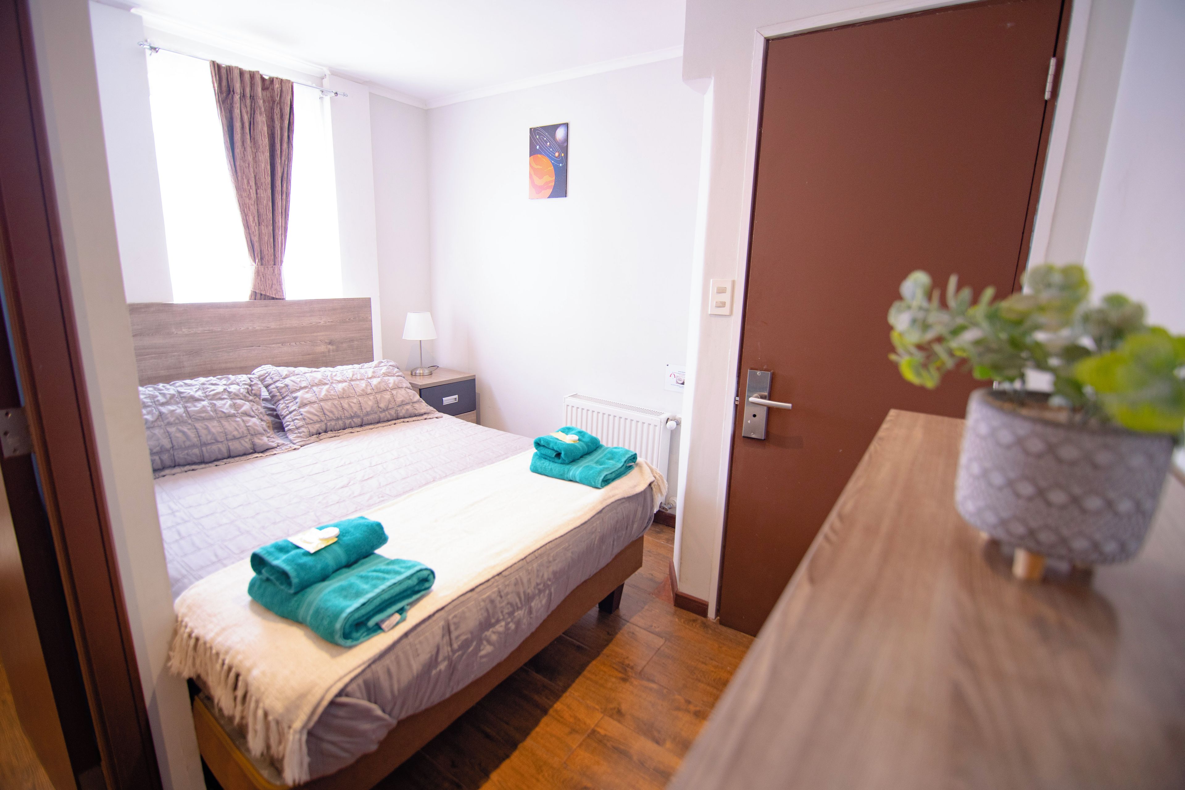 Una habitación de hotel con cama, mesita de noche, planta en maceta y una puerta.