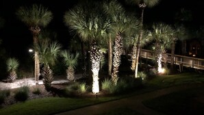 A nighttime view of a landscaped area with palm trees and a wooden bridge. - 403 Captains Walk - Palmetto Dunes 1st Floor Oceanfront - Hilton Head Rentals (Hilton Head Island)