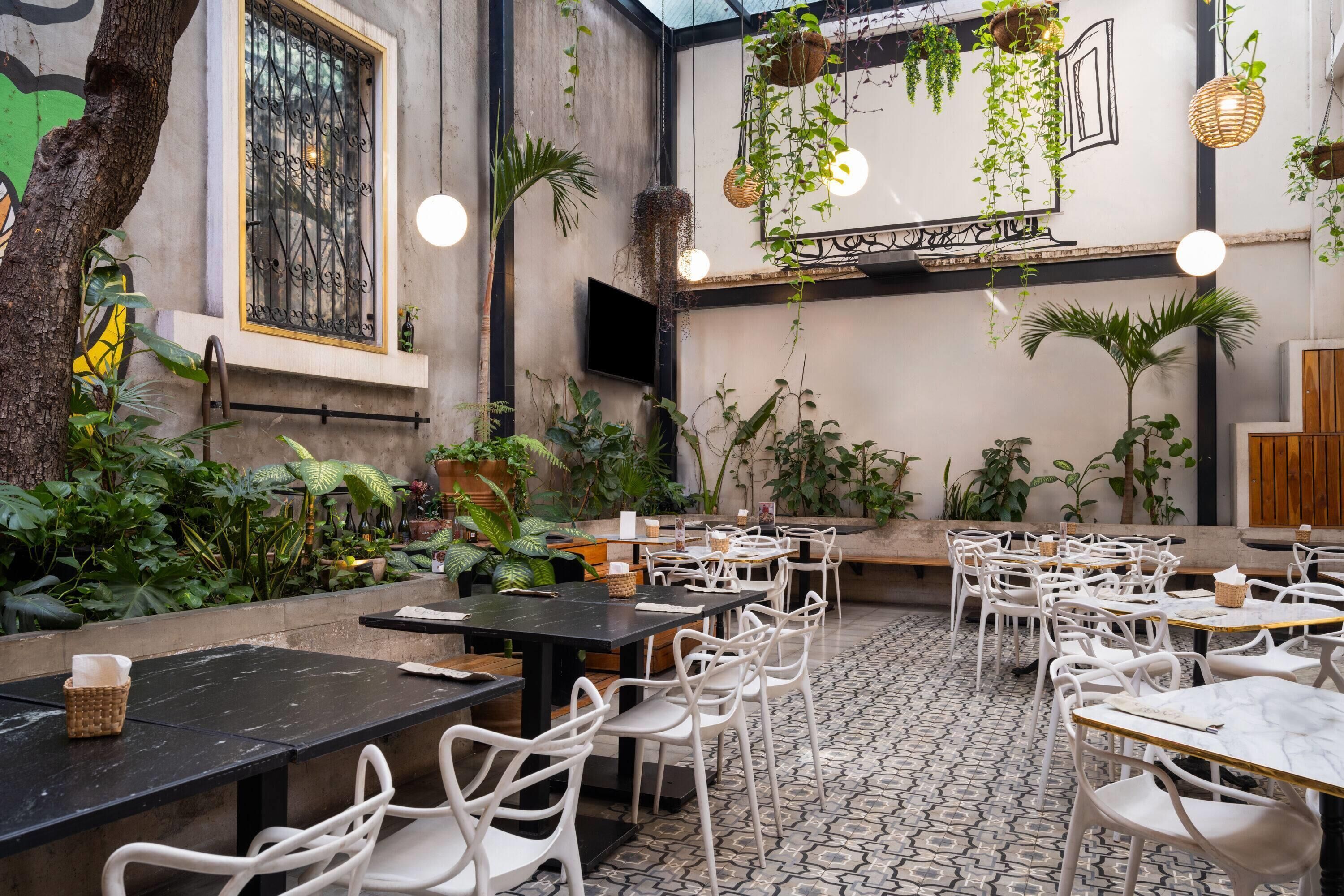 An indoor dining area with tables and chairs, surrounded by various plants and hanging baskets.