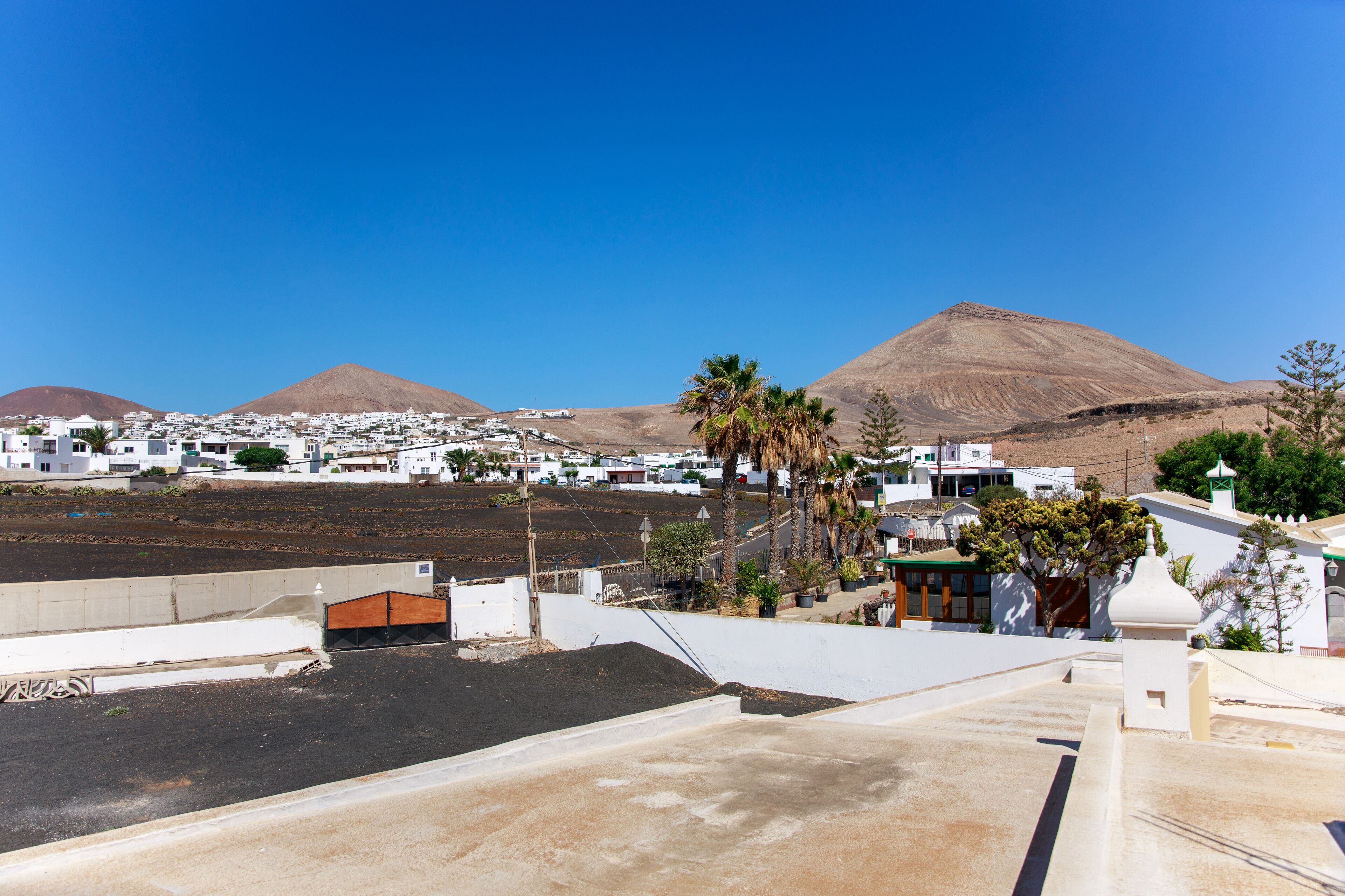 A coastal town with white buildings, palm trees, and mountains in the background.