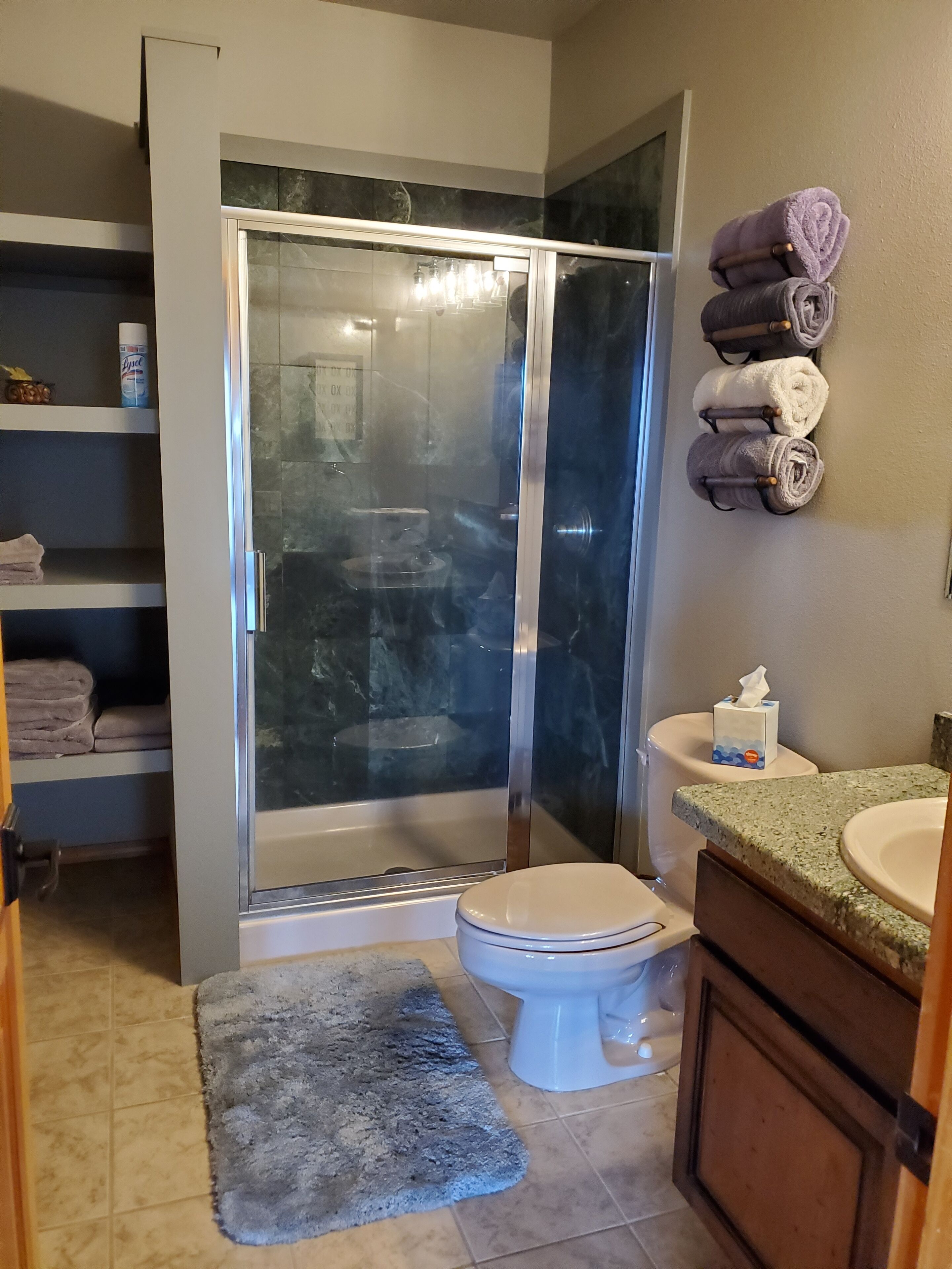 Lower Level Bathroom