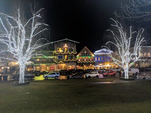 Leavenworth Christmas Lights  - Private Majestic Log Cabin (Cashmere)
