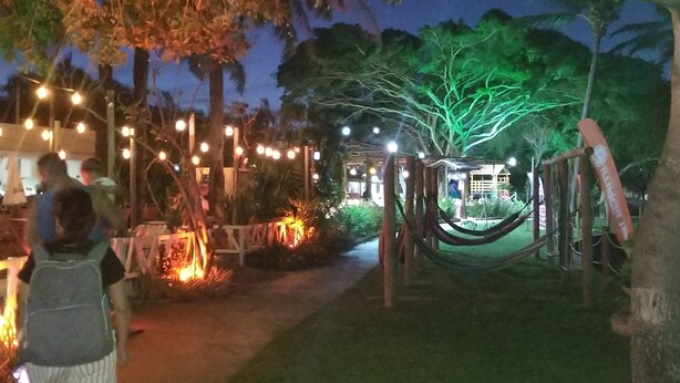 Un espacio al aire libre con luces colgantes, una hamaca y un sendero que lleva a un edificio.