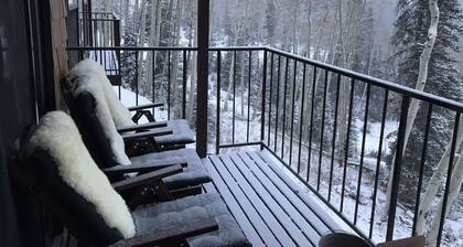 Ski in, Ski out Condo at Eagle Point Ski Resort. Sleeps 7.