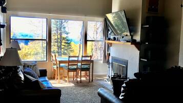 TV, fireplace, video games, DVD player