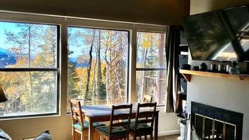 Una televisión, una chimenea, videojuegos, un reproductor de DVD