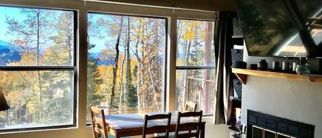 TV, fireplace, video games, DVD player