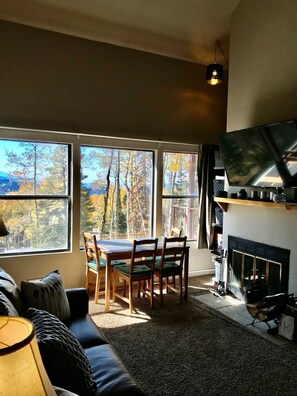 TV, fireplace, video games, DVD player