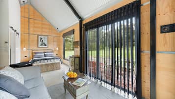 TV connectée, cheminée, livres