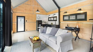Smart TV, fireplace, books