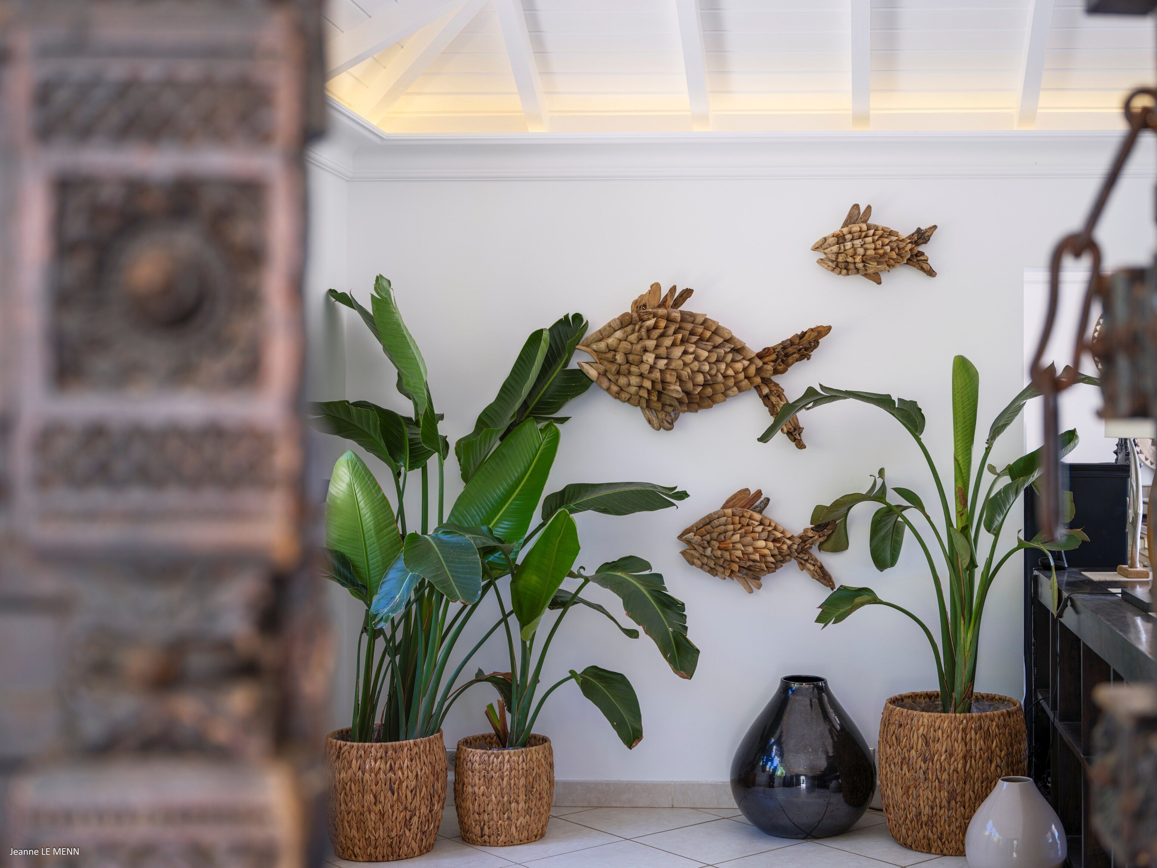 A room with a white wall, a ceiling with a skylight, and several potted plants.