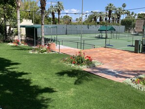 Sport court