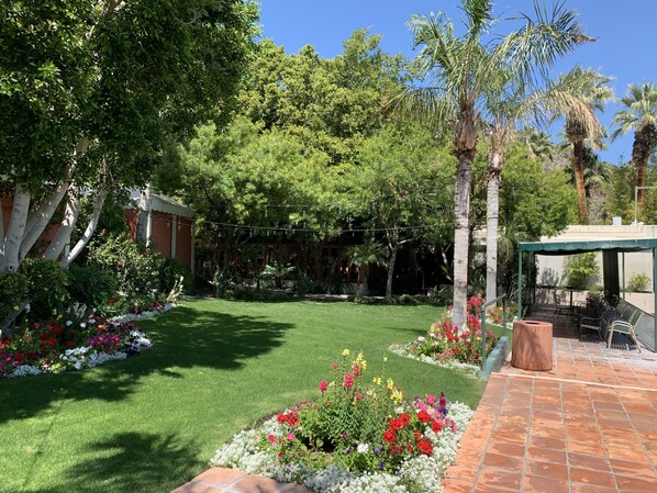 Terrace/patio - Enjoy the Holidays at the beautiful Palm Springs Tennis Club... (Palm Springs)