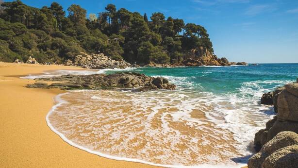 A beach with clear turquoise water, sandy shore, and rocky outcrops.