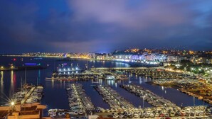 A marina with boats docked, a cityscape in the background, and a clear sky.