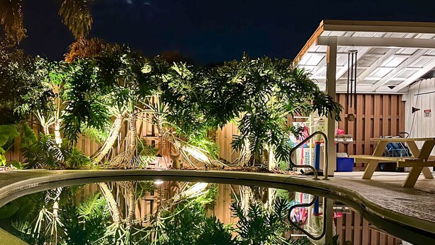 Vue nocturne d'un espace piscine agrémenté d'une végétation luxuriante et d'une terrasse en bois.