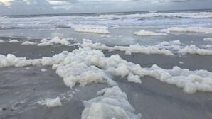Une plage avec de l’écume blanche sur le sable et l’océan en arrière-plan.