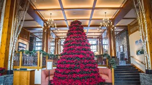 Un vaste hall d’entrée agrémenté d’un grand sapin de Noël, de poutres en bois, de lustres et d’éléments décoratifs en pierre.