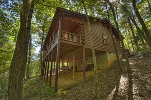 Exterior - Bear Watch - Blue Ridge (Cherry Log)