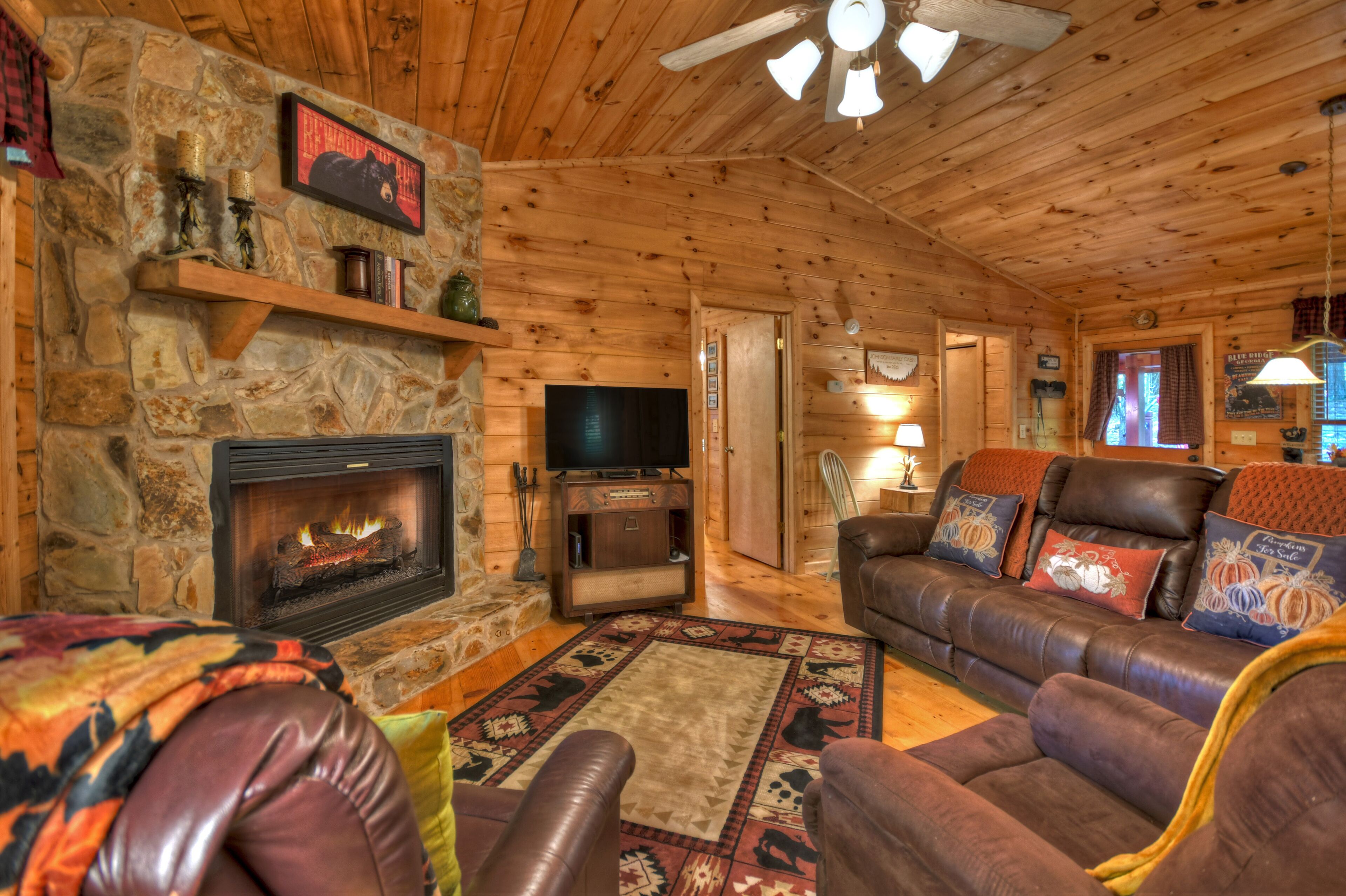 Bear Watch - Blue Ridge