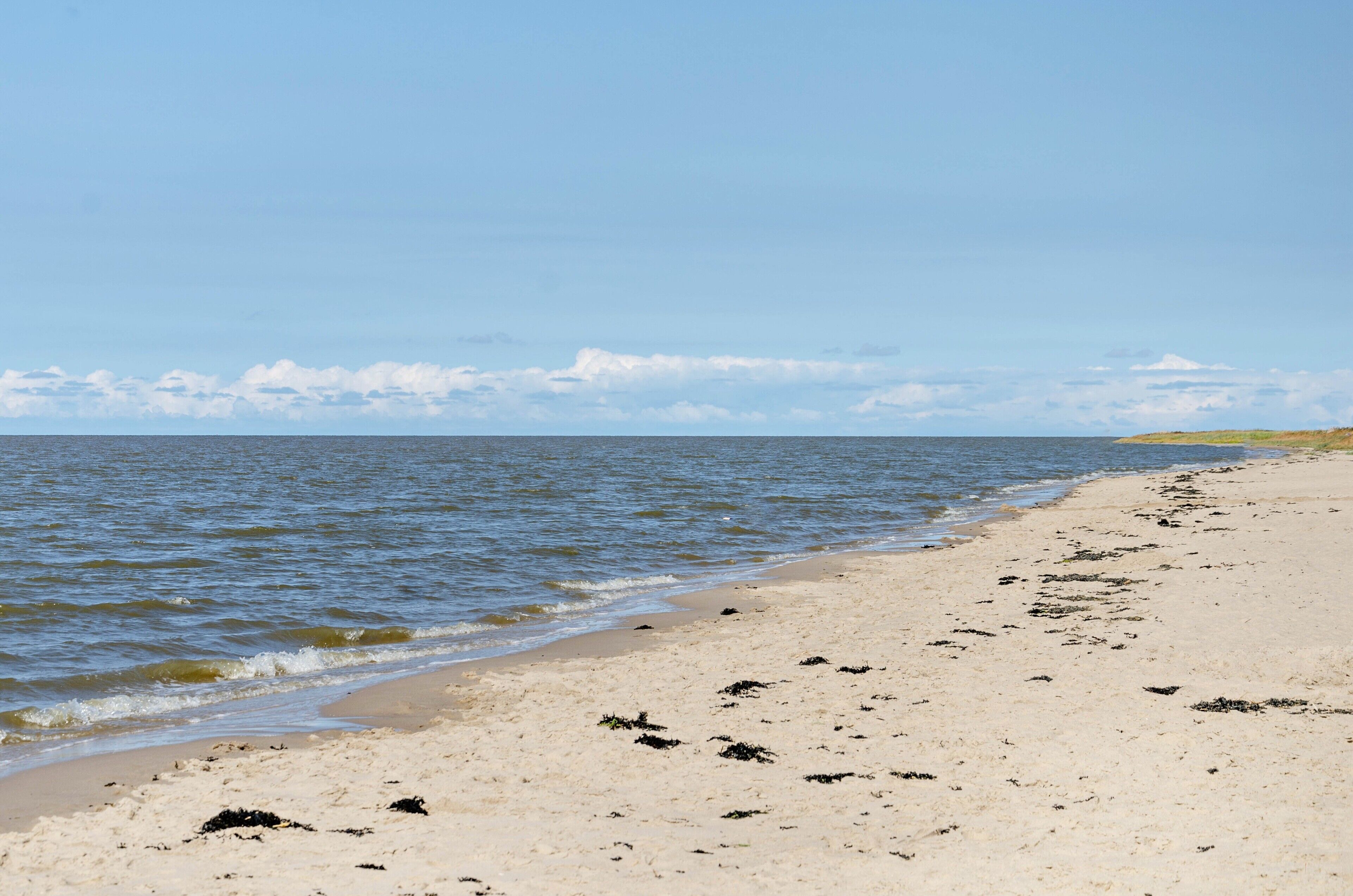 In Strandnähe