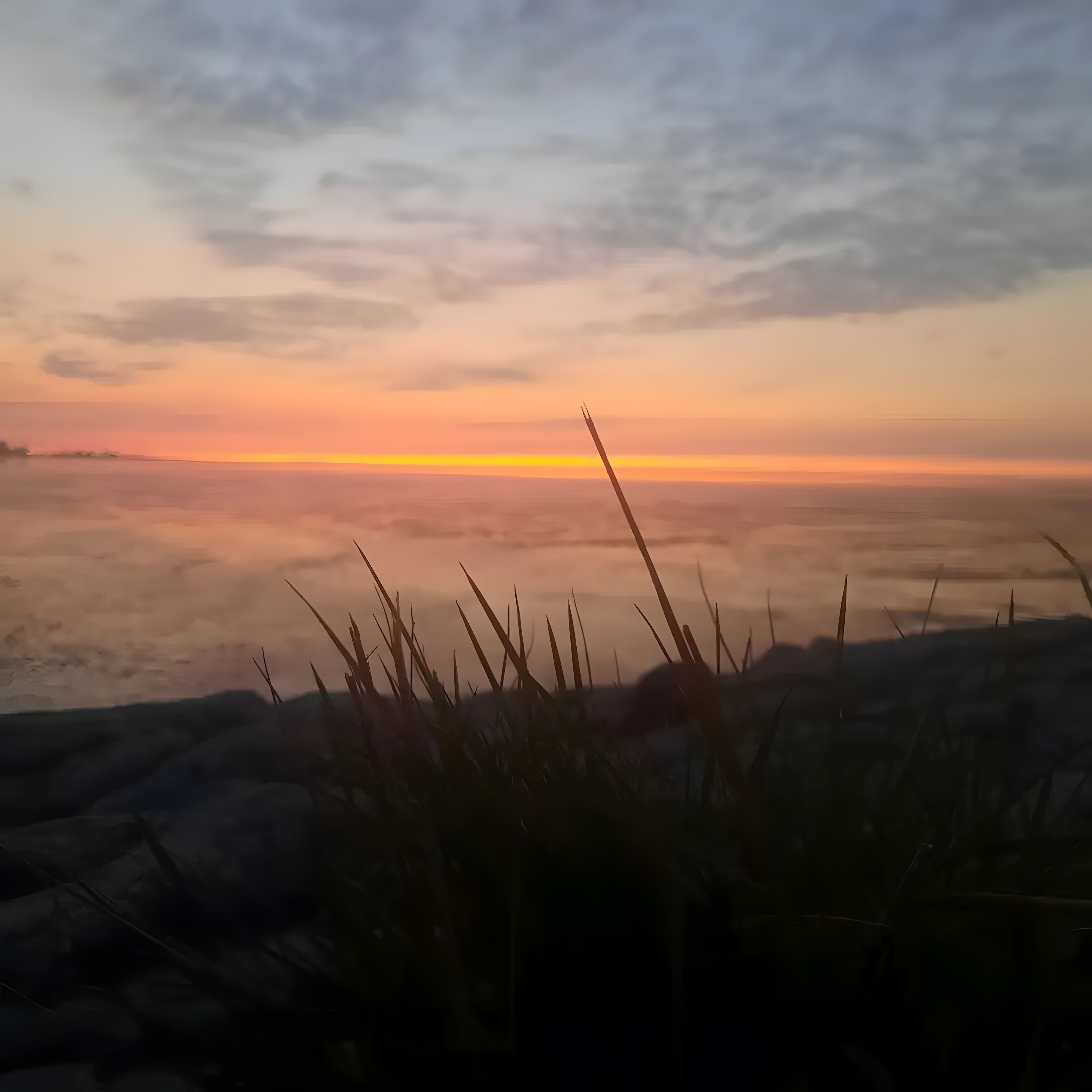 A coastal landscape with a sunset, foreground vegetation, and a distant horizon.