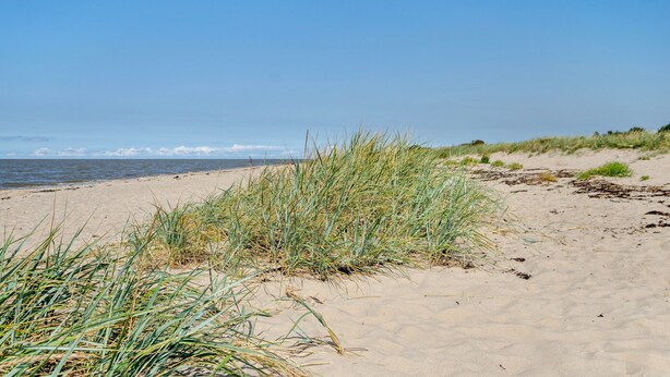 Une plage de sable avec de l’herbe au premier plan et un ciel bleu dégagé.