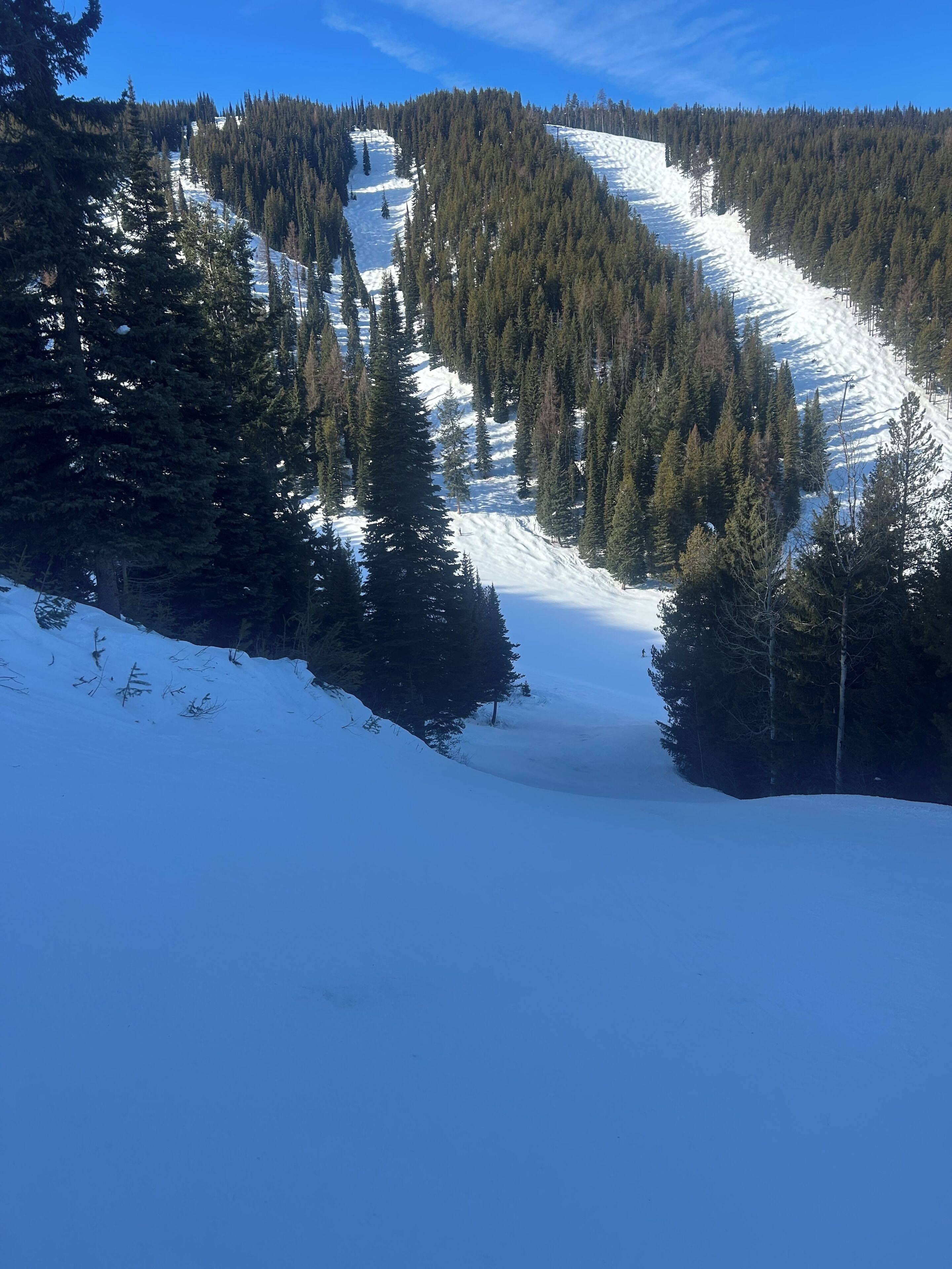 Ein mit Schnee bedeckter Berg mit dichtem Wald und blauem Himmel.